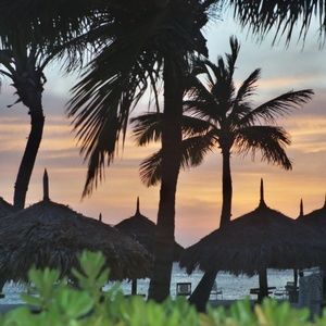 Meet your Posher, Marcy